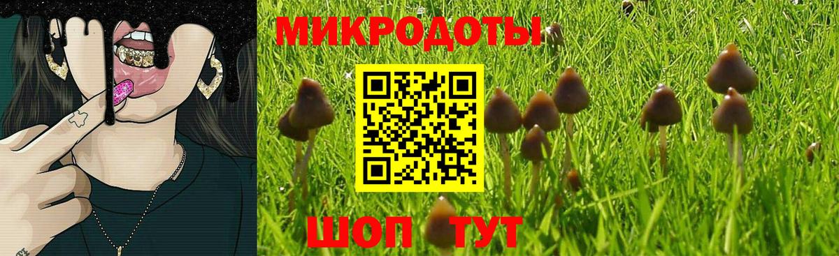 Галлюциногенные грибы Cubensis Минеральные Воды